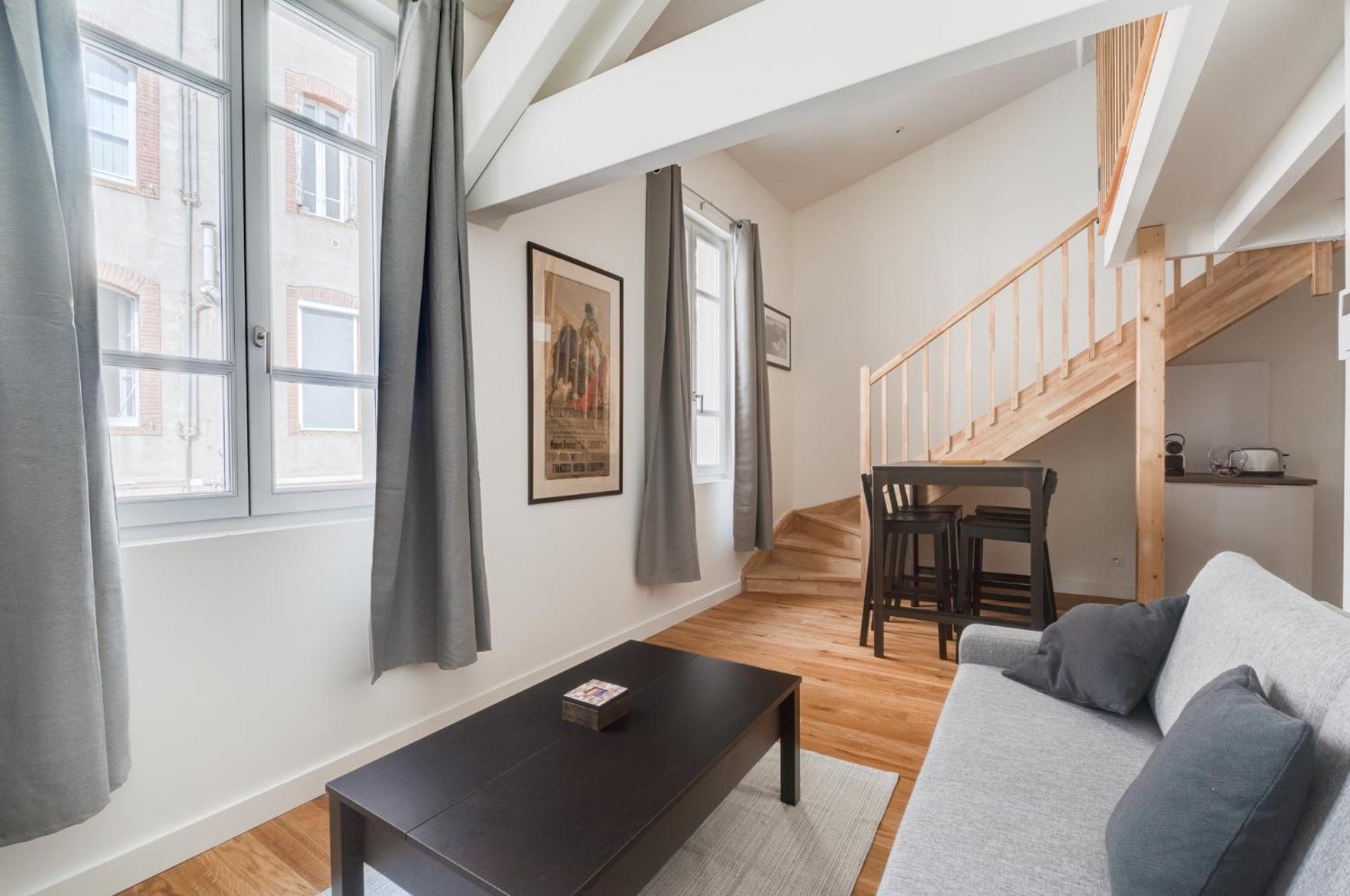 Appartement Style Et Caractere, Climatisation à Toulouse Extérieur photo